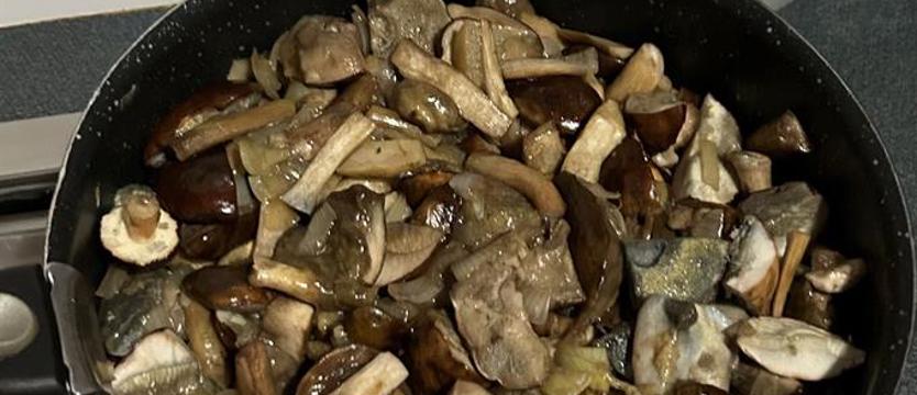 Grzyby nie dla dzieci. To nie jest warte ryzyka