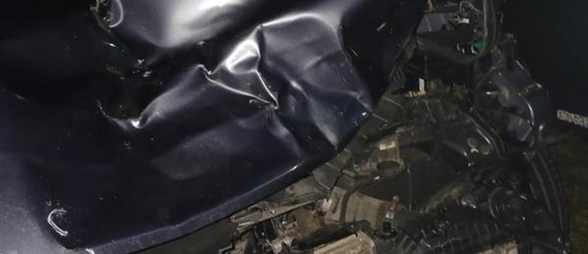 Jeleń wpadł na samochód