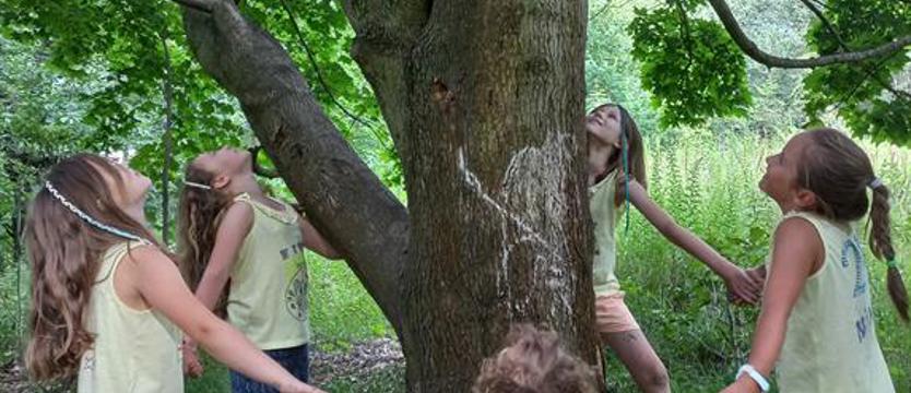 Co się (z)darzyło przy Przygodnej? Magia wieku niewinności i drzewo wielkiej przyjaźni