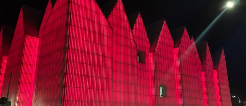 Międzynarodowy Dzień 22q11. Czerwień na filharmonii i dźwigozaurach