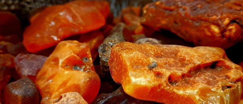 Szukamy bursztynów! Po zmroku, przy użyciu kaszorka i latarek