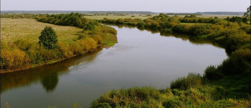 Dwunasta odsłona Narodowego Czytania. „Nad Niemnem”