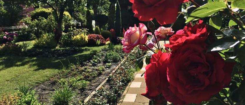 Pokażcie nam swoje balkony i ogrody! Zgłoszenia do końca lipca