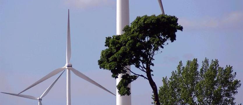 Nowelizacja ustawy a opinia gmin. Wiatraki bliżej domów