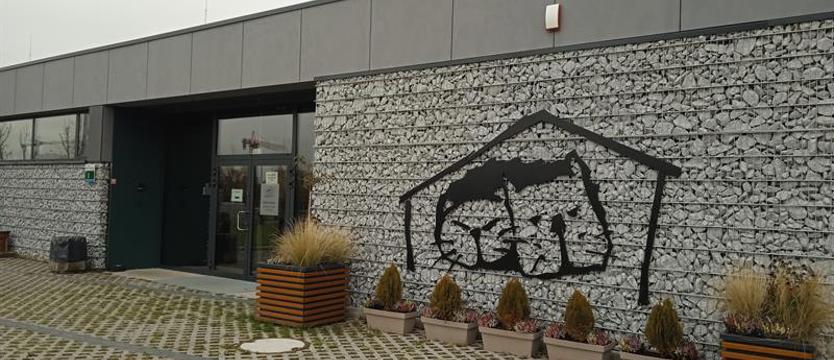 Zimowe wsparcie miejskich kotów. Karma do wzięcia