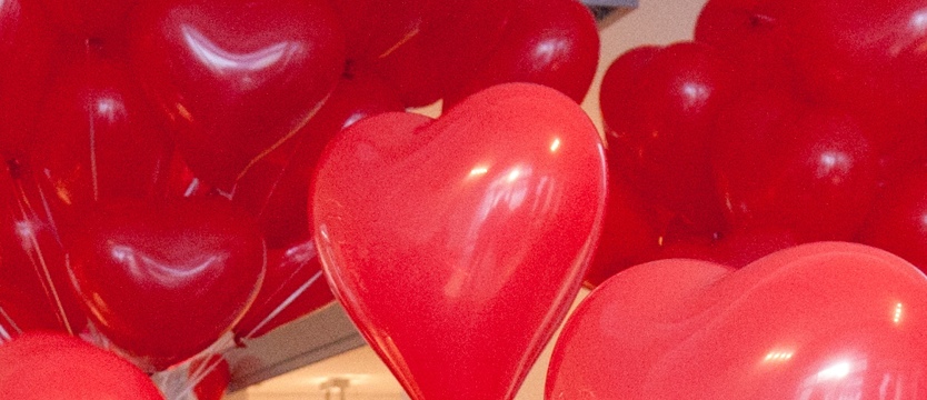 Miłość nie wybiera