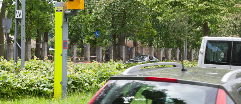 Między Babigoszczą a Gniazdowem