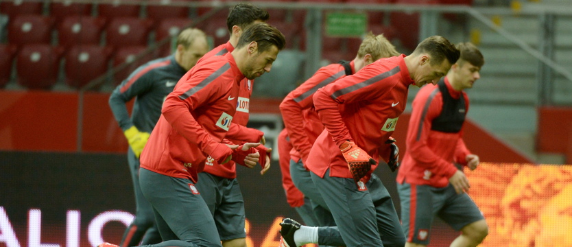 Piłka nożna. Z Irlandią o awans (FILM)