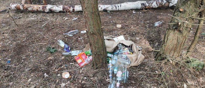 Zebrali ponad cztery tony śmieci! Trashmageddon w Puszczy Bukowej