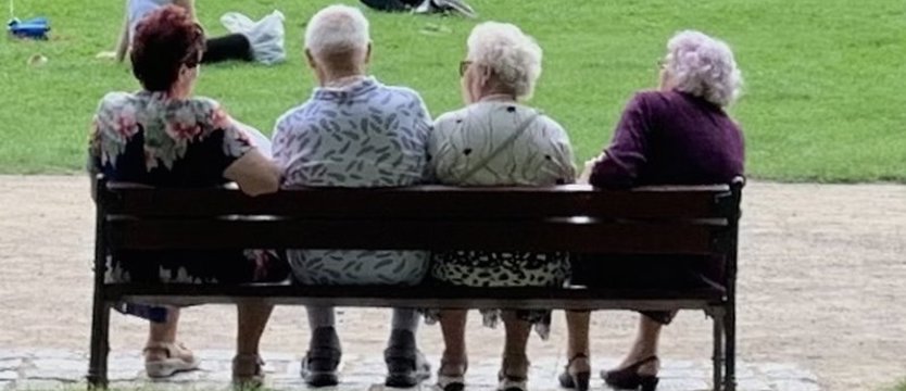 Program osłonowy dla sędziwych. Opaski i pomoc wolontariuszy