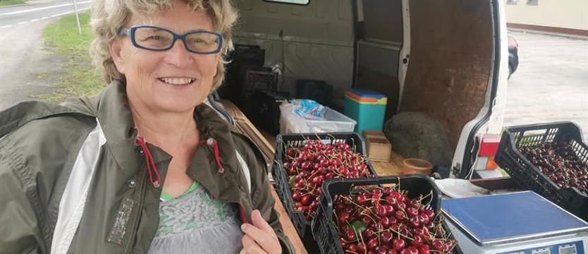 Czereśnie… moja miłość. Są wymagające, ale odpłacają smakiem