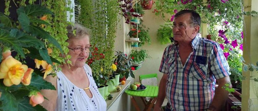 Cały Szczecin w kwiatach. Najpięknieszy balkon i ogród ROD