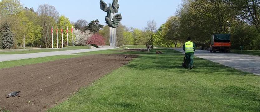 Kwiaty na (dwie) rabaty. Trzy Orły i Tobruk – byle taniej?