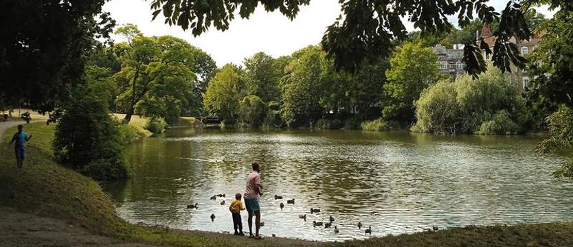 Niedzielny spacer wśród zieleni. Róże, ślady Japonii i hotel nad Rusałką
