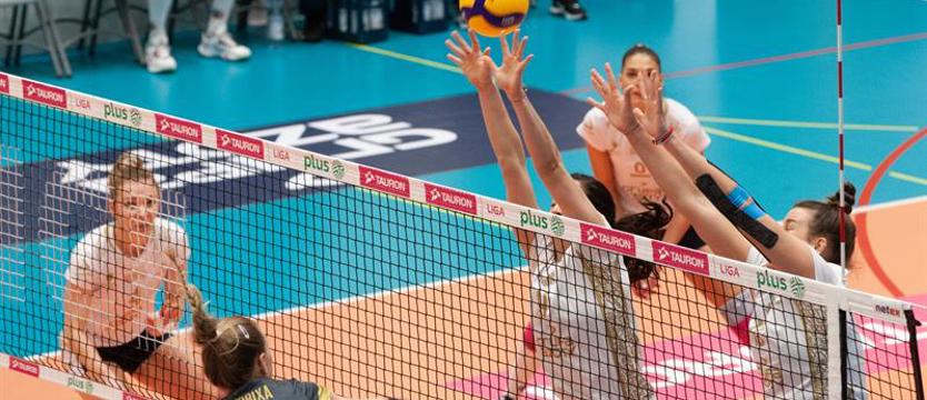 Siatkówka. Pucharowy mecz Chemika odwołany