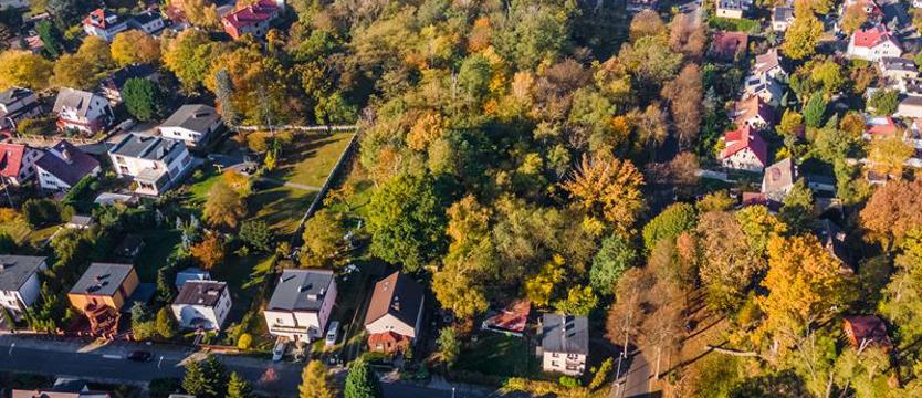 SBO, czyli „daleko idąca ingerencja w zieleń”. Beton i rekreacja