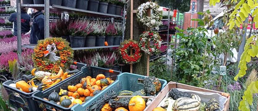 „Pamiętajcie o ogrodach”. Zieleń ze smakiem