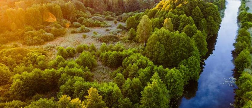 Pomysł na weekend. A może na wrzosowiska?