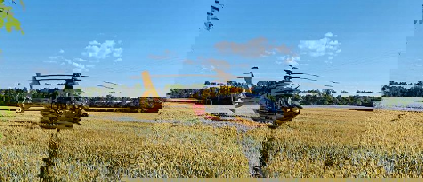 Zmarł chłopiec, który topił się w jeziorze Gardzko