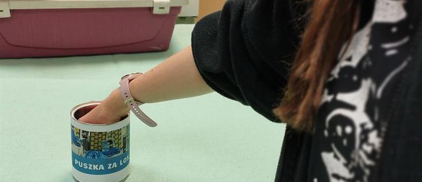 Charytatywna akcja szczecińskiego TOZ. Los, puszka i pomoc zwierzętom