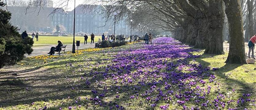 Na ten widok czekaliśmy!