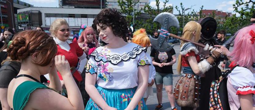 Pierwszy Piknik Cosplayerów w Szczecinie