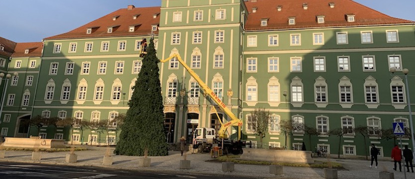 Choinka przed szczecińskim magistratem prawie gotowa