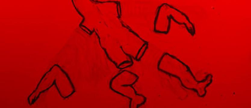 Szczecińskie animacje na międzynarodowym festiwalu. Trzymamy kciuki i życzymy wygranej!