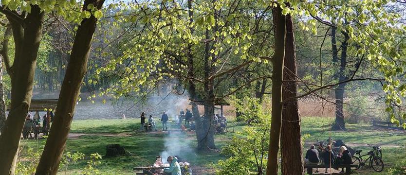 Zły zwyczaj, alkohol, ogień i las. Co po nich zostanie?