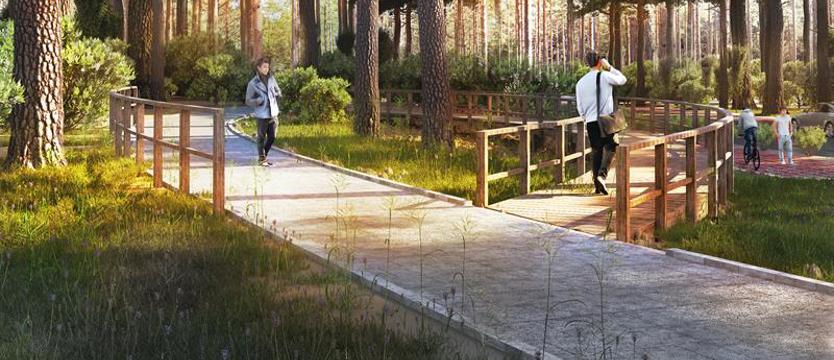 Inwestycja ze wsparciem Polskiego Ładu. Powstanie promenada leśna