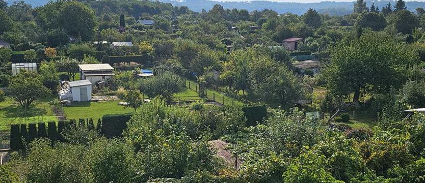 Co będzie z ogrodami na terenie Barlinka?