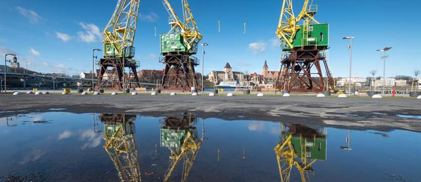 Dźwigozaury zmienią kolory w geście solidarności 