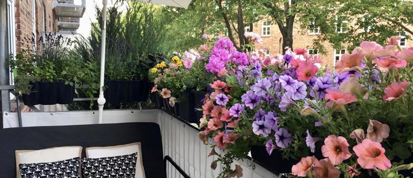 Cały Szczecin w kwiatach! Czekamy na Wasze zgłoszenia