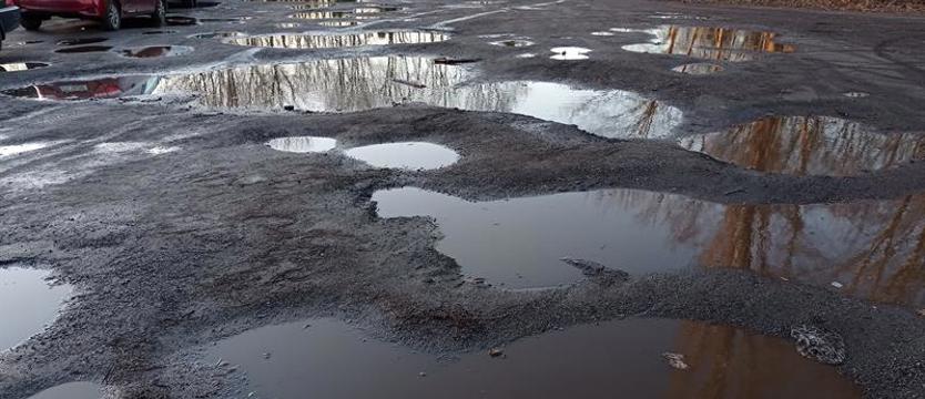 Błotnista „ścieżka zdrowia” przy Cmentarzu Centralnym