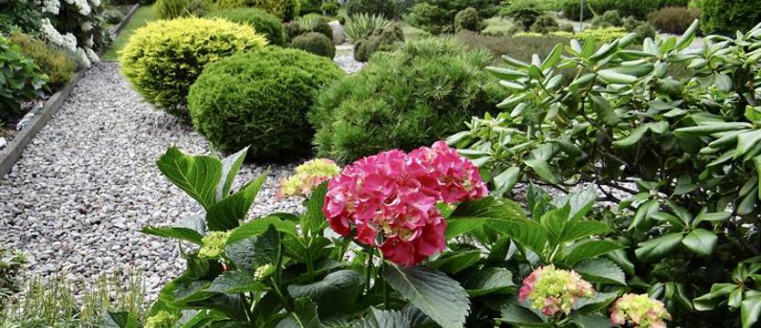 Cały Szczecin w kwiatach. Wciąż czekamy na zgłoszenia