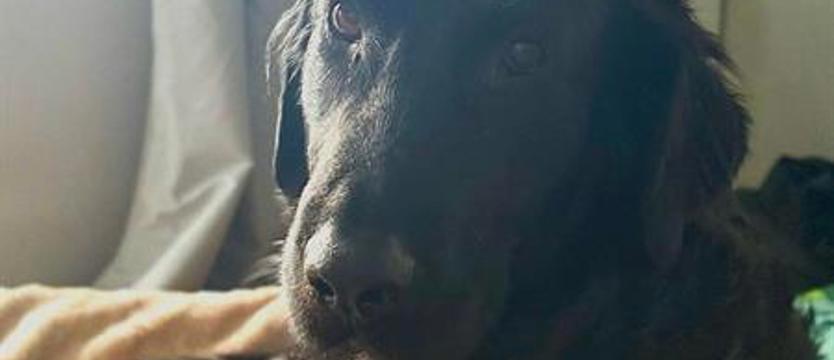 Bicie na alarm! Hades i... tysiąc innych bezdomniaków