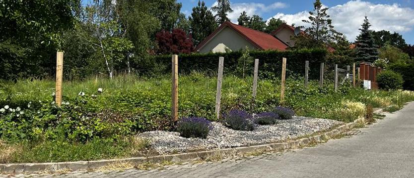 Kogoś zbulwersowały... kwiaty