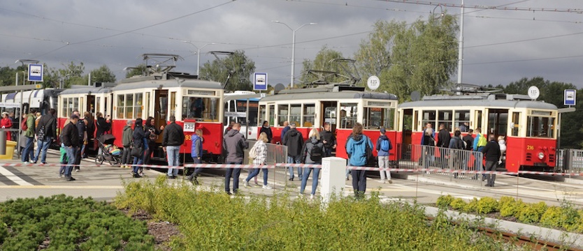 Tramwajowa niedziela. Wielki festyn na Szafera