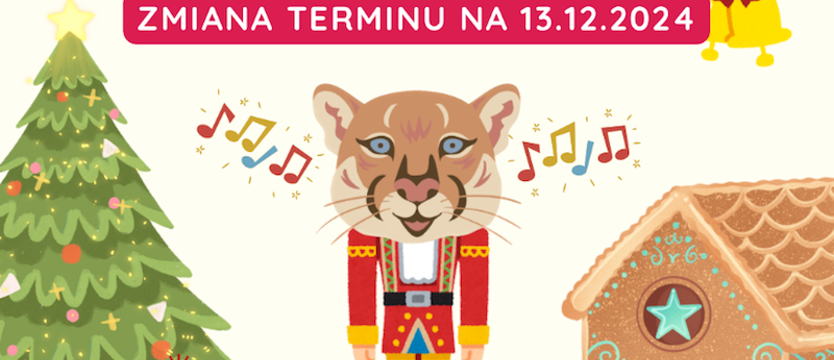 Miś pod Szpitalną Choinkę w Ogrodach Śródmieście