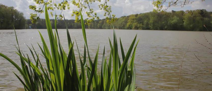 Badanie z udziałem szczecińskiej naukowiec. Duże zanieczyszczenie wód mikroplastikiem