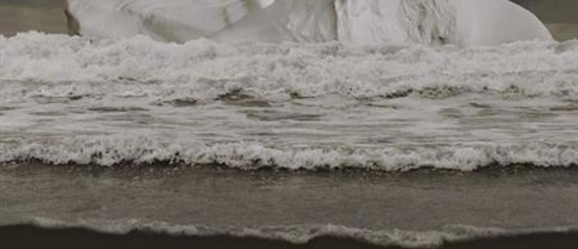 Tragedia Wisławy Szymborskiej w Teatrze Polskim