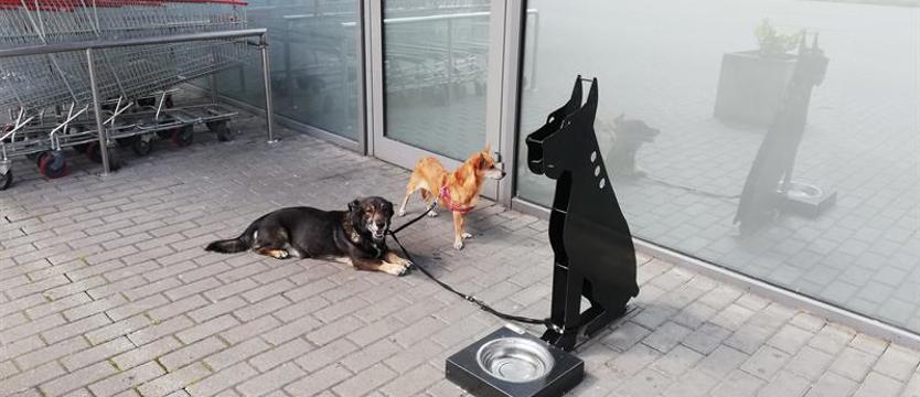 Pupil na zakupach – za czy przeciw?