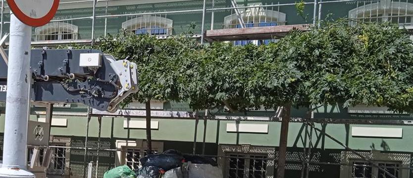 Przy magistracie – zderzenie teorii z praktyką. Nie czytali zarządzenia nr 140/21?