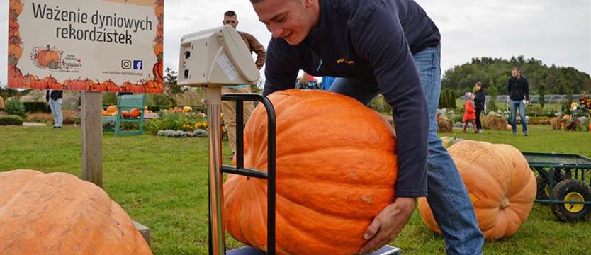 Zbliża się święto dyni. Wygraj zaproszenie!