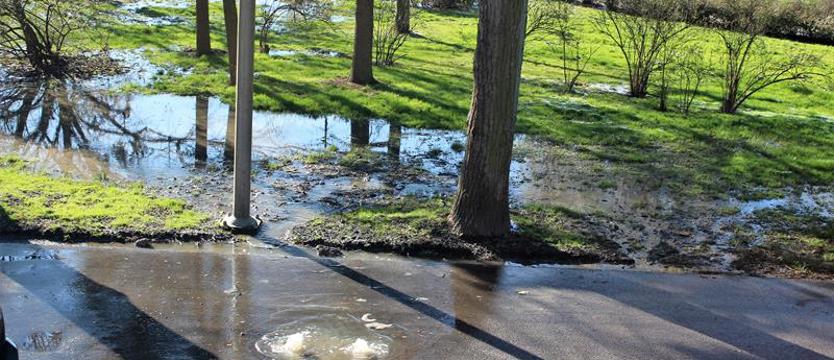 Jezioro w Nowogardzie przypomina ściek. Co dalej z tryskającą gnojowicą?