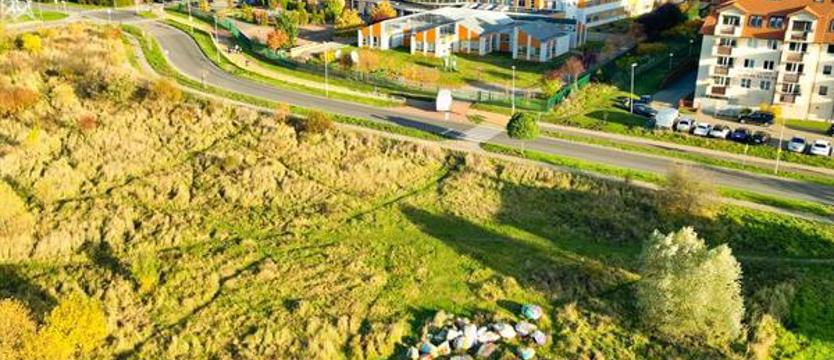 Powstanie park na Warszewie. Szukają wykonawcy