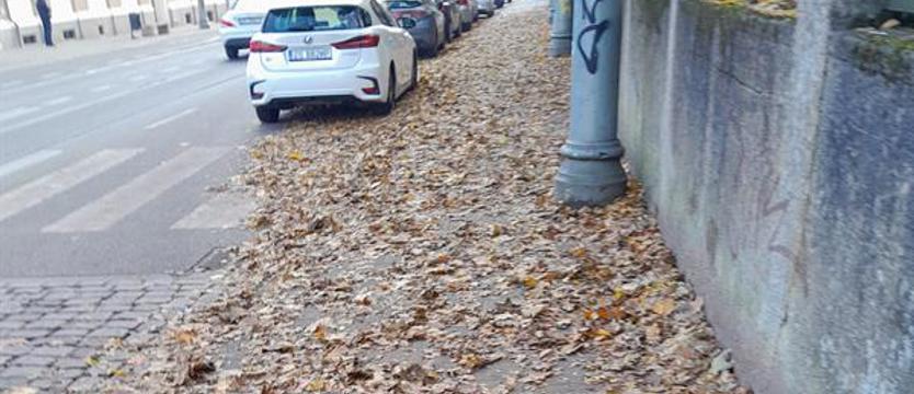 Liście wszędzie. Jesień, więc gospodarzu: do dzieła