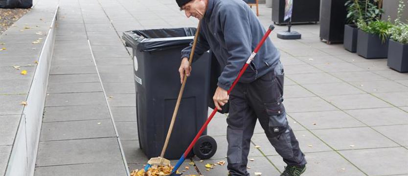 Kiedy lecą liście z drzew