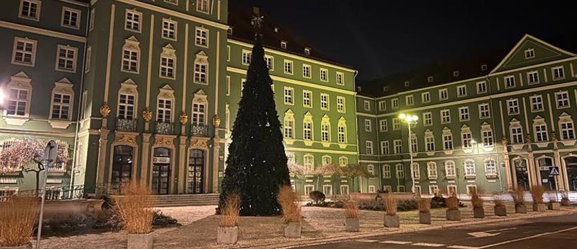 Choinka przed magistratem w Szczecinie prawie gotowa