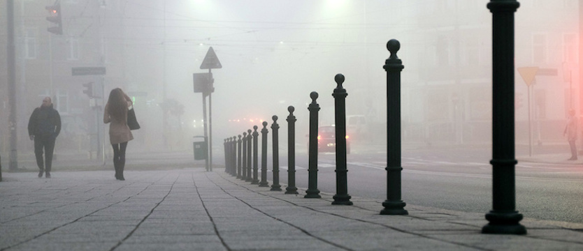 Synoptycy ostrzegają. Możliwe mgły na drogach